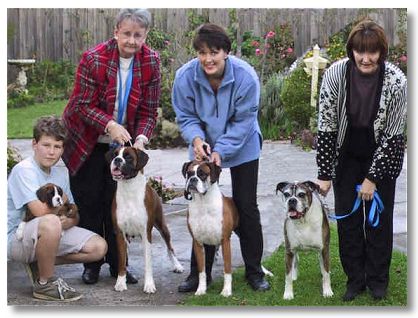 Four Generations of Aspen Boxers