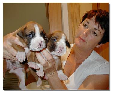 Anna and 2  two week old puppies