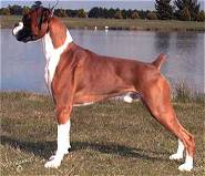 Austen at 2 years