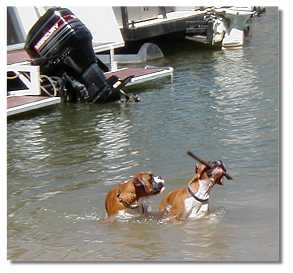 Austen and Georgie at Eilden