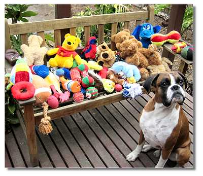 Austen at 6 years with all his toys